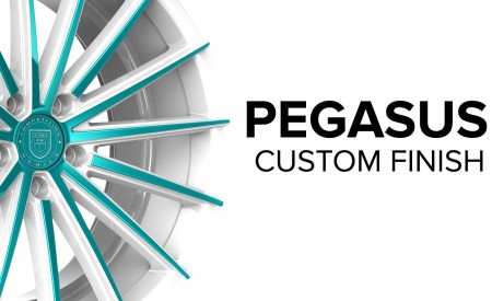 Pegasus - Custom Finish